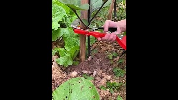 Kìm buộc chanh dây siêu hiệu quả. Đặt hàng ngay 0332447555 !