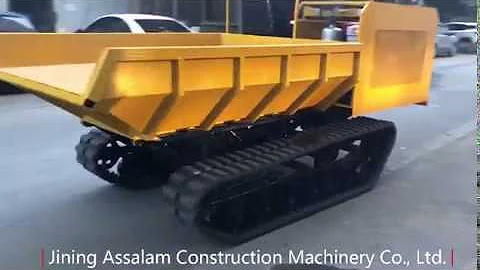 construction mini crawler dumper 1-10 tons tracked carrier for sale Colombia Ecuador
