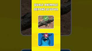 QUANTO CONOSCI GLI ANIMALI 🐶🐧 #shorts