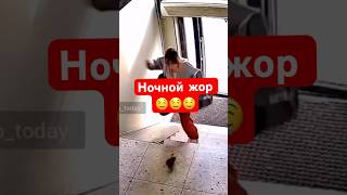 любитель ночной булки? #худетьлегко #спорт #похудение #диета #рационпп #обжорство #ночнойжор