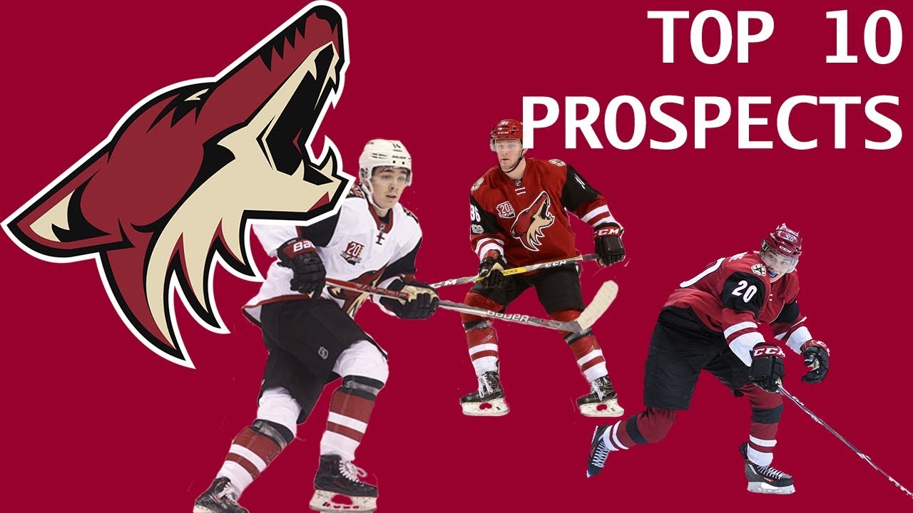 Arizona Coyotes Top 10 Prospects (2017)