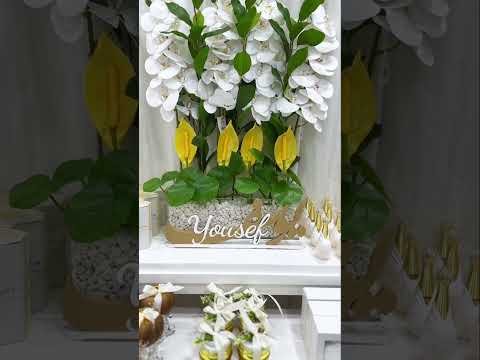 تصوير بيبي يوسف مواليد تصوير مواليد بشاره مولود يوسف