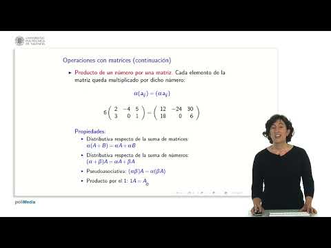 Operations with matrices | 8/14 | UPV