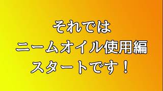 ダイコーニームオイル使用方法＃ダイコーニーム＃ニーム＃オイル＃大興貿易