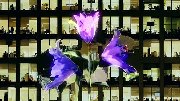 DROELOE x IMANU - CATALYST