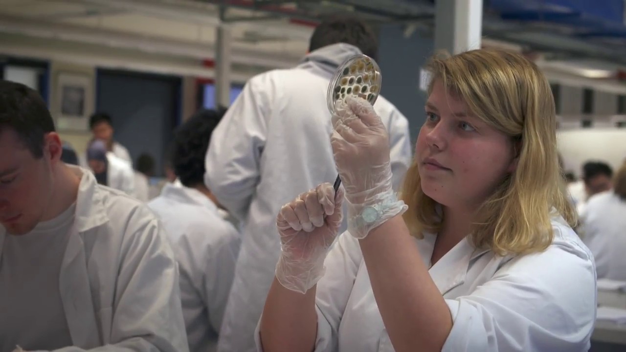 Study the Master of Biotechnology at the University of Melbourne YouTube