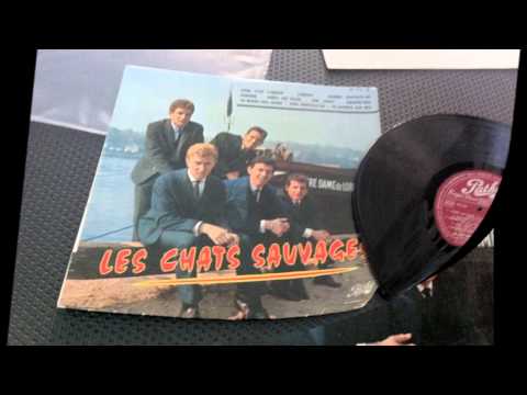 LES CHATS SAUVAGES &  Mike Shannon , John, C'est L'amour  ( JOHN LEYTON Son This Is She )
