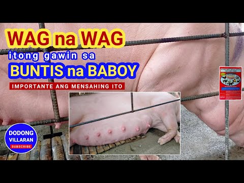 Video: Relay designation: prinsipyo ng pagpapatakbo, mga uri at mga tagagawa