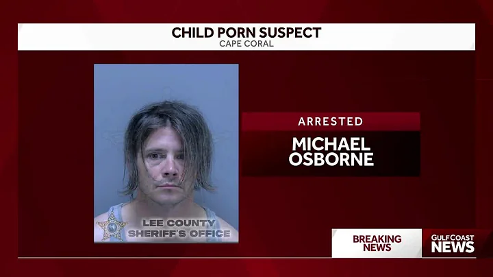 Cape Coral man arrested on 10 counts of child porn possession