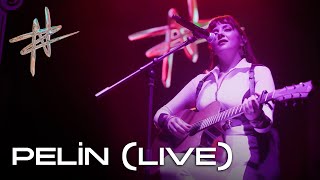 Nova Norda - Pelin Live