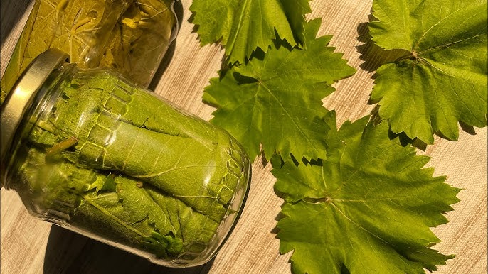 Xotin dostlari bilan erini belbog bilan sikadi