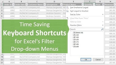 Excel Filters Training - Keyboard Shortcuts - Part 2 of 3