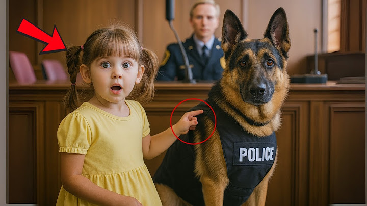 Little Girl Spots Police Dog in Court — Utters Two Words That Leave the Entire Room Stunned