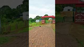 📌সাজেক ভ্যালি, রাঙ্গামাটি #Travelexperience #sajekvalley