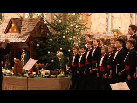 Видео: The Nativity of Christ - La Peregrinación - Ariel Ramírez - Moscow Boys' Choir DEBUT