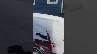 Heavy snow in buffalo newyork USA must watch