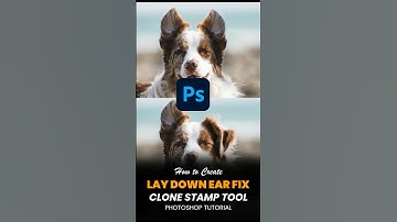 Lay down Ear Fix - Clone Stamp Tool - Photoshop Tutorial #photoshoptutorial #shortvideo #art