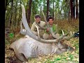 Since 1991  hunting maral and conservation in altay of kazakhstan by renaud desgrees du lou