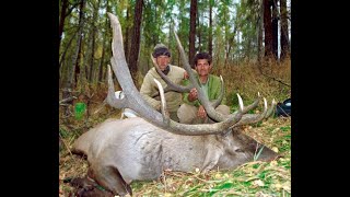 Since 1991 ! Hunting maral and conservation in Altay of Kazakhstan by Renaud Desgrees du Lou