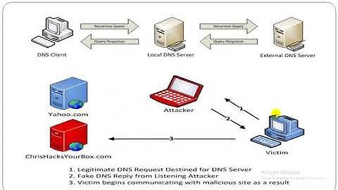 Ethical Hacking Advance Level Using Kali Linux DNS Spoofing