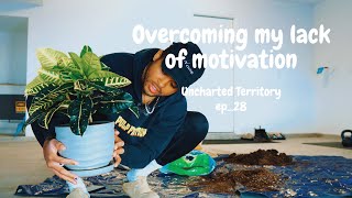 overcoming my lack of motivation | creative inspiration | plant care