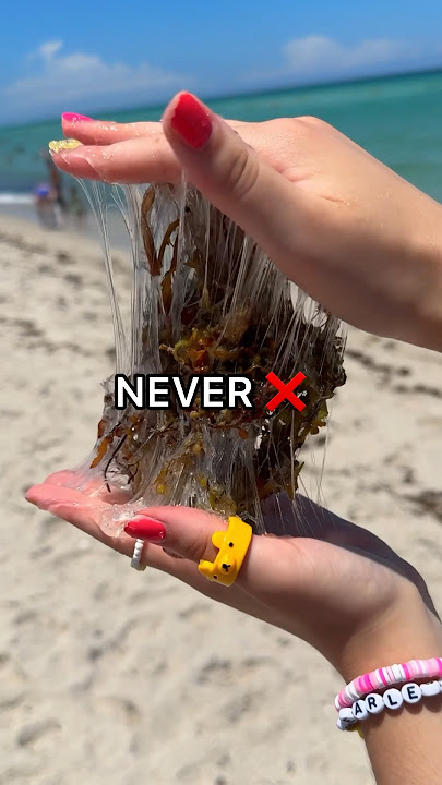NEVER Add These into SLIME! 😱🏝️🌊❌ *Beach Edition*