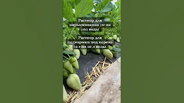 чтоб клубника была крупная