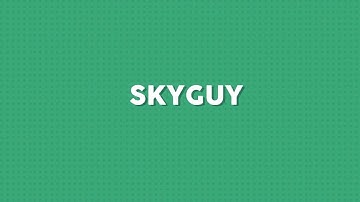 SKYGUY INTRO VORSCHLAG (MY BEST???)