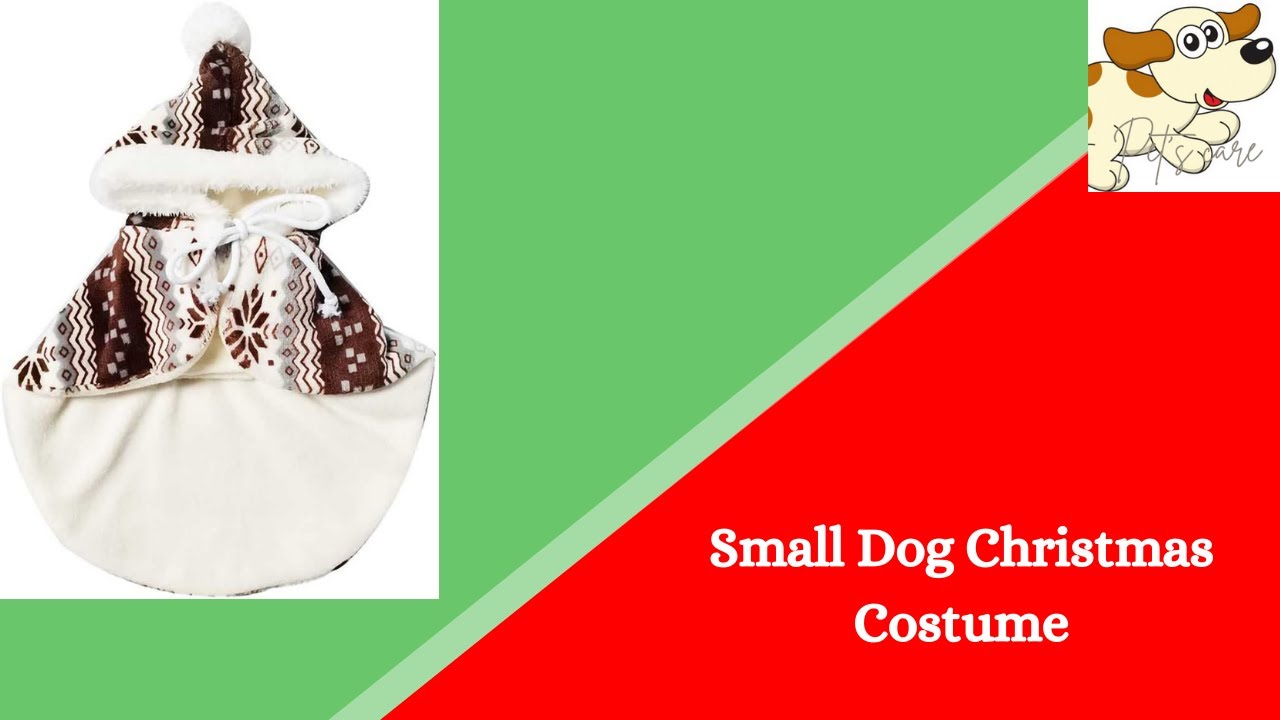 Dog Christmas Outfit Puppy Christmas Outfits Small Dog Christmas