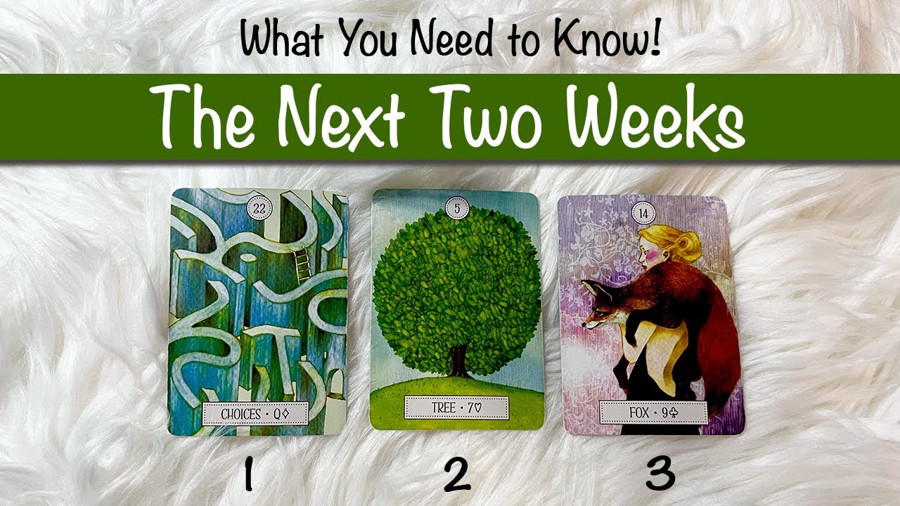 The Next 2 Weeks. What To Expect! // Pick a Card Tarot Reading