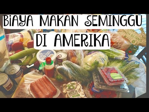 BELANJA MINGGUAN DI AMERIKA || WEEKLY GROCERY SHOPPING FAMILY OF 5