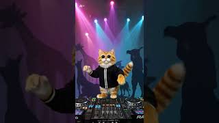 Dj Cat Takes Over The Party