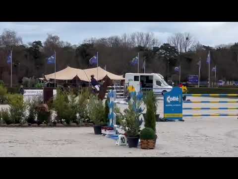 Vivolenska PS 140 CSI3*** Lanaken