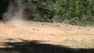 Exploding Star Target shooting with a Mosin Nagant