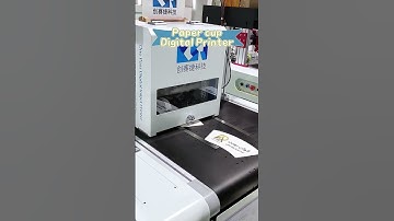 Paper cup digital printer - easy to print paper cups, automatic feeder, no plate making#papercup