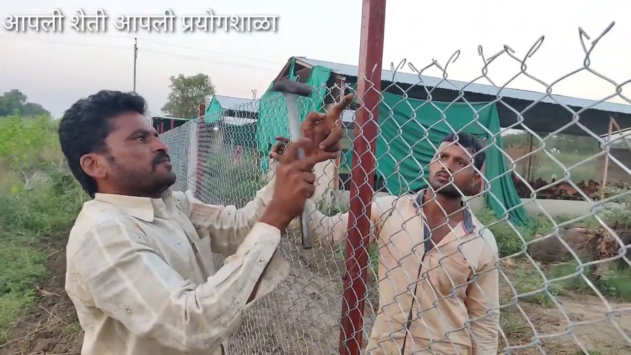 शेताला जाळी ला लागणारा खर्च एकरी किती येतो