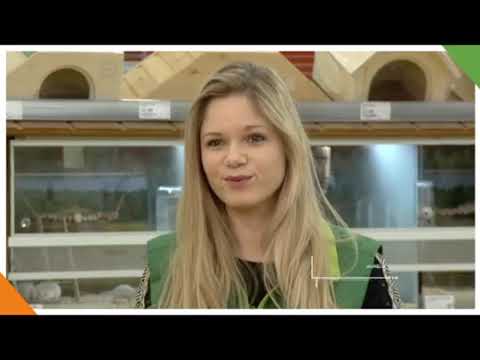 Miniature de la vidéo Comment devenir Vendeur(se) spécialisé(e) en animalerie ?