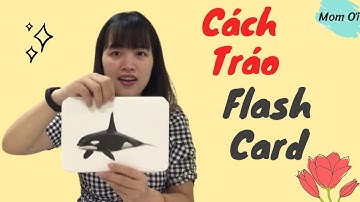 Cách Dạy Trẻ Bằng Flash Card Glenn Doman Tại Nhà Cực Dễ Dàng | Mom Ơi