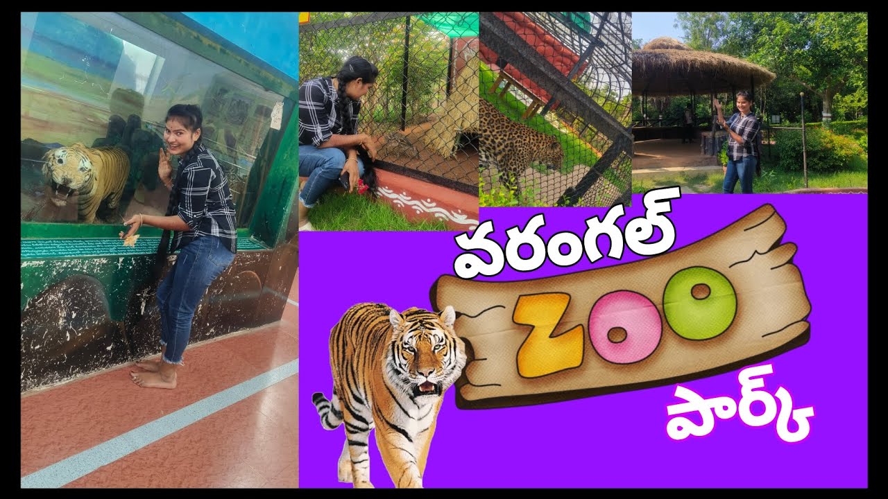 WARANGAL ZOO PARKKAKATHIYA ZOOFULL ENJOY TODAY 😍😍🐕♥️♥️♥️ YouTube