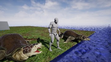 Prehistoric Turtle Unreal Animations