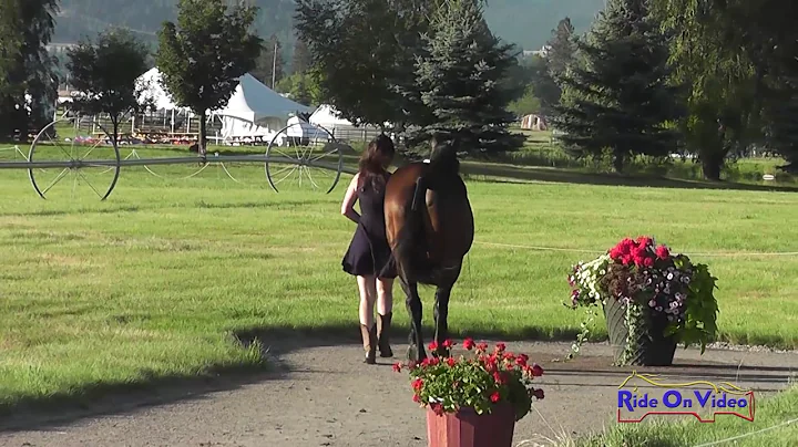 238J2 Emily Biagini Lee on Just Jake Training 3-Da...