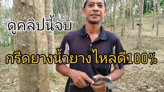 เทคนิคกรีดยาง ให้น้ำยางออกดี 100/% ต้องใช้มีดรุ่นเดียวกันกรีดยาง