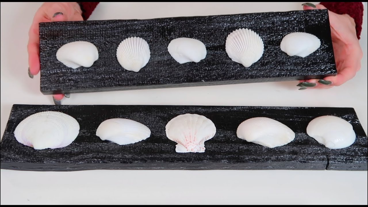 DOLLAR TREE DIY SEASHELL WALL ART *CHEAP* YouTube