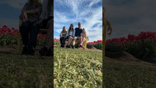 Wooden Shoe Tulip Festival Oregon
