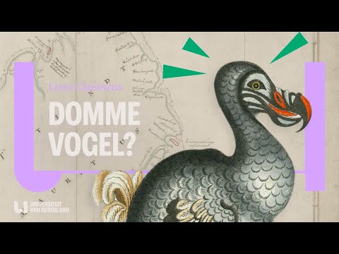 Video: Dodo-vogel: het verhaal van uitroeiing