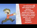 - Иду я вчера ночью по темной улице. Прикольные анекдоты дня!