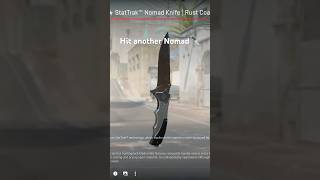 Rust Coat Nomad At Least Its A Nomad Lol