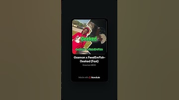 Gasman3800 x FeedEmFish - Geek