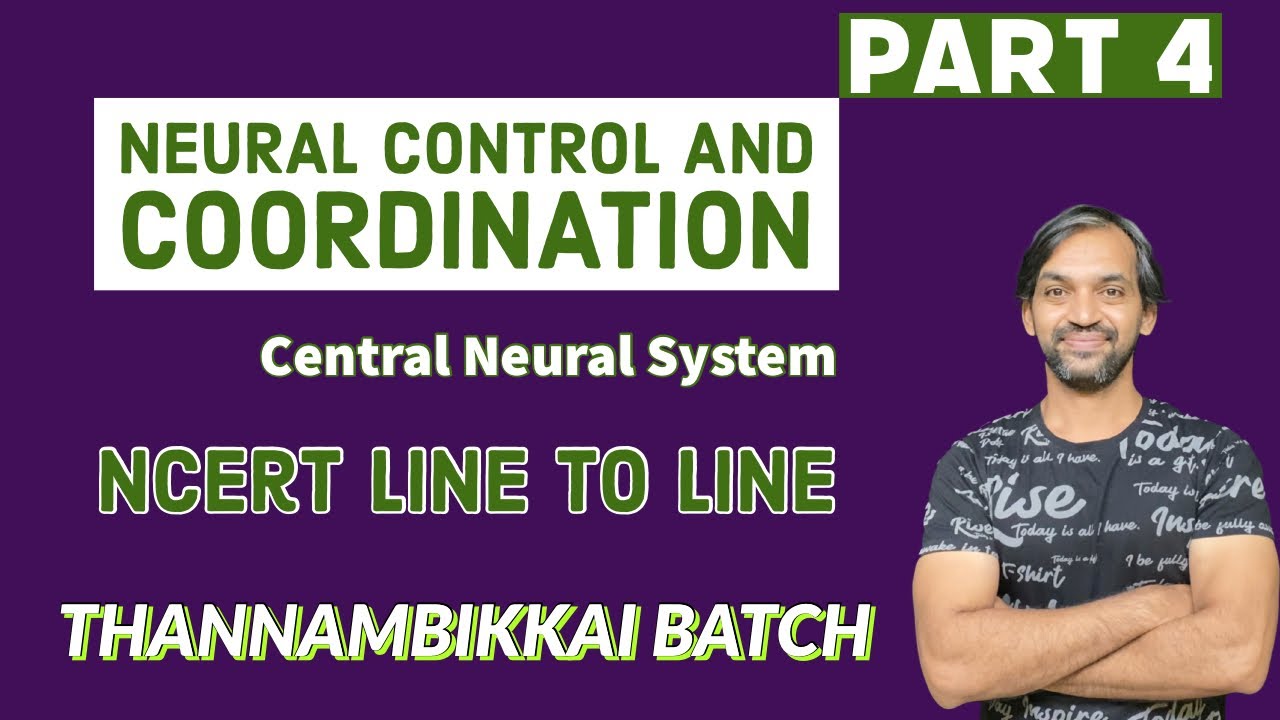 Neural Control and Coordination | Part 4 | NCERT Line to Line ...