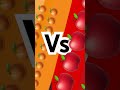 Orange vs apple colors orange red